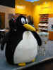 pingvinas.JPG (46595 bytes)