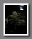 [Click to enlarge image]