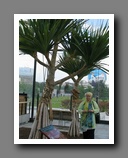 [Click to enlarge image]