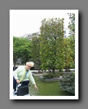 [Click to enlarge image]