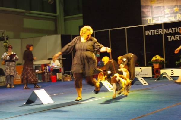 tartu-cacibai-2010-11-06-07-120