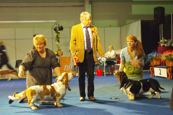 tartu-cacibai-2010-11-06-07-123