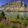 Bow Lake and Flowers_Banff National Park_Alberta_Canada