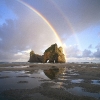 Coastal Rainbow, South Island, New Zealand