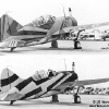 BREWSTER XF2A-1 IN DISRUPTIVE CAMOUFLAGE